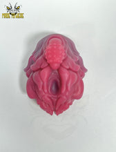 Load image into Gallery viewer, Zayn (Barbed), Small/Solid, Soft 00-30 Firmness, Red &amp; Gray
