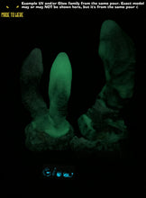 Load image into Gallery viewer, Medium Size Crowley, Double Shaft, Soft 00-30 Firmness, Spooky
