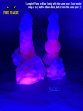 Load image into Gallery viewer, Medium Size Nerites, Soft 00-30 Firmness, Strawberry Ice Cream
