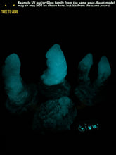 Load image into Gallery viewer, Small Nerites, Medium 00-50 Firmness, Gem Cavern

