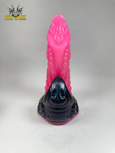 Load image into Gallery viewer, Large Size Chelos, Soft 00-30 Firmness, Venus&#39;s Graham
