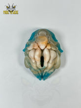 Load image into Gallery viewer, Zayn (Smooth), Small/Solid, Medium 00-50 Firmness, Seashell
