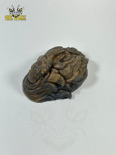 Load image into Gallery viewer, Zayn (Barbed), Small/Solid, Medium 00-50 Firmness, Gold Black
